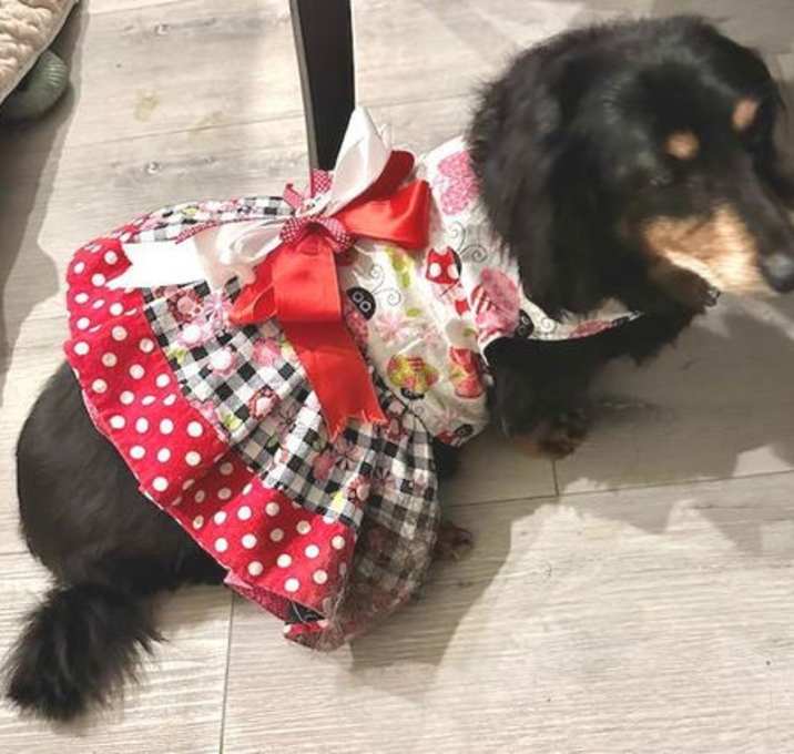 Photo of Mimi  -  Las Vegas