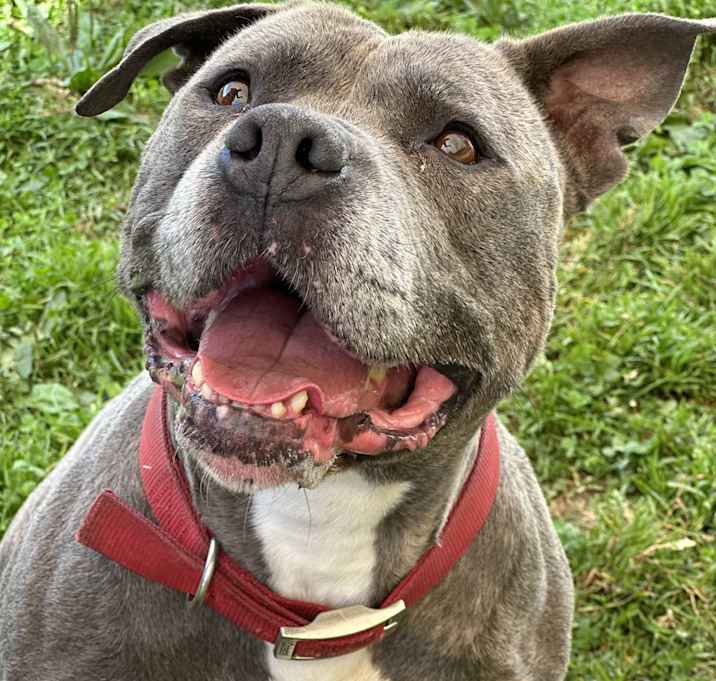 Photo of Rosie
