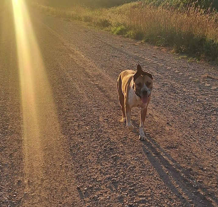 Photo of Chrome
