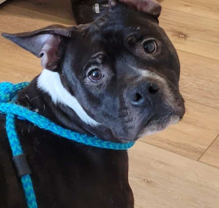 Photo of Bruce