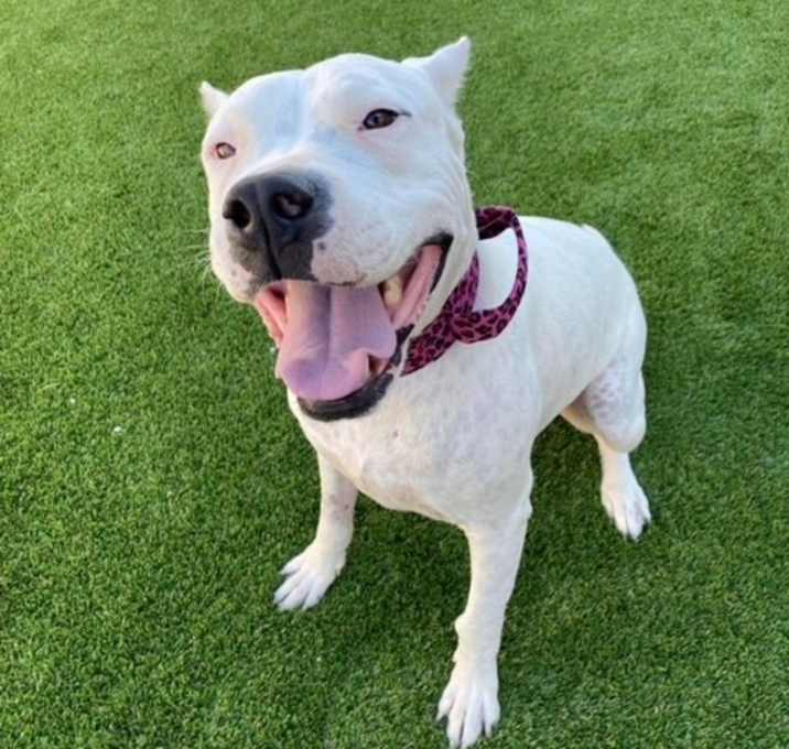 Photo of Lucy