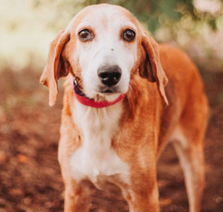 Photo of 89741a Maya