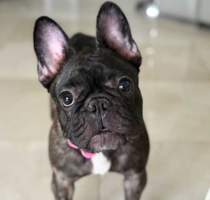 Photo of LEAH