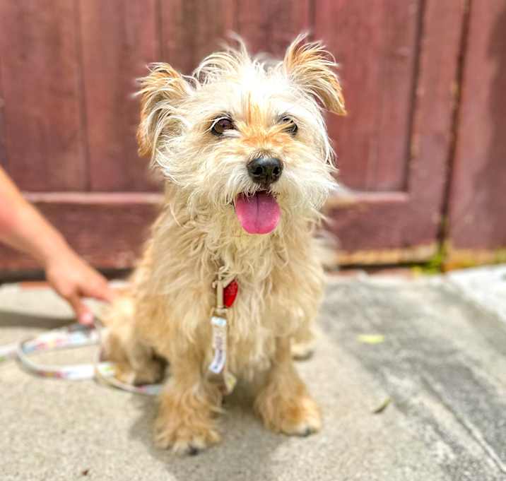 Photo of Gigi