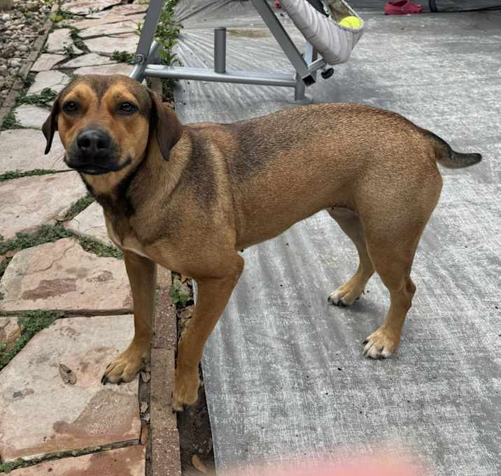 Photo of Daisy