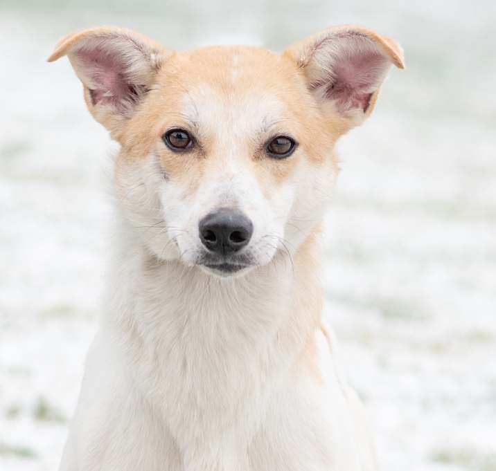 Photo of Spice