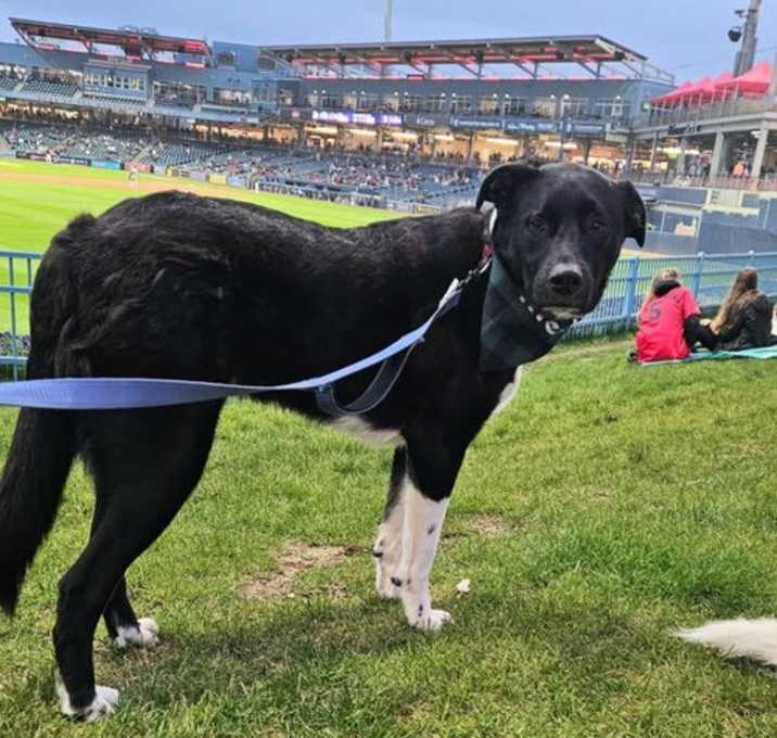 Photo of BENNY LUVS BASEBALL