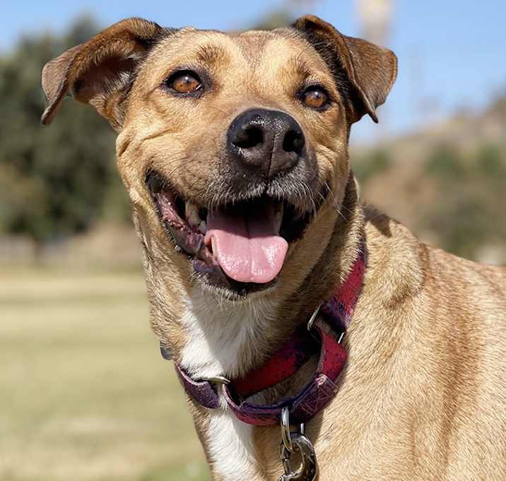 Photo of Chumi