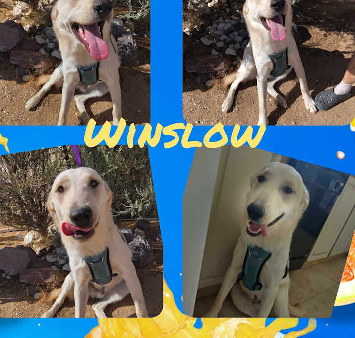 Photo of Winslow