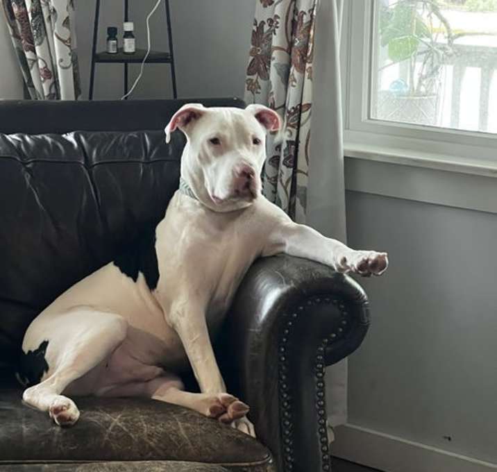 Photo of Buddy aka Buddha/Butters
