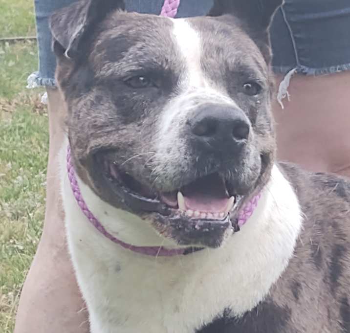 Photo of Champ
