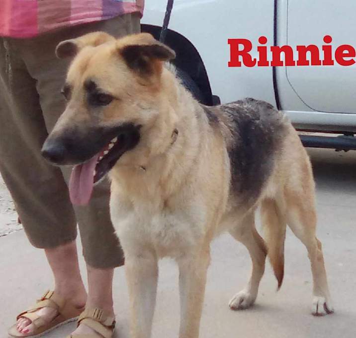 Photo of Rinie ( Rinnie)