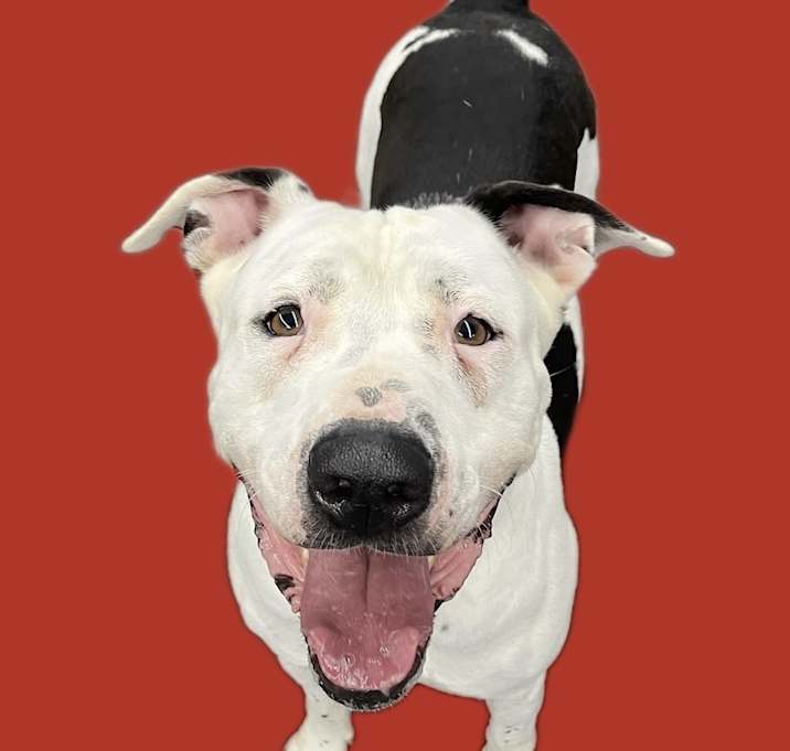 Photo of Rudy