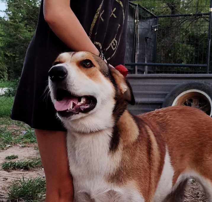 Photo of Maggie