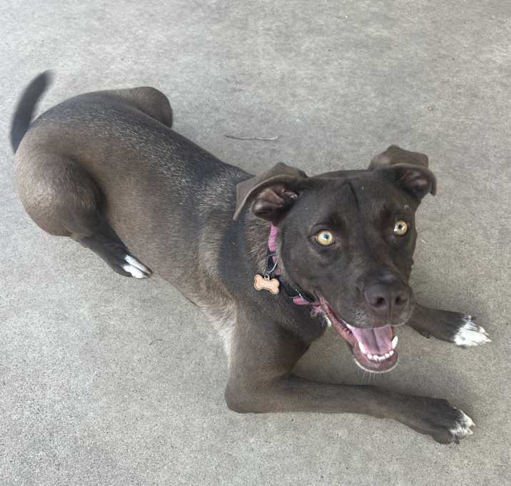 Photo of Luna