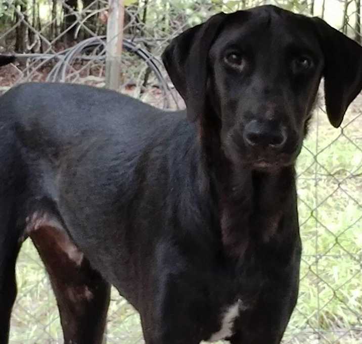 Photo of Romeo