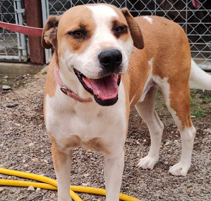 Photo of Buster Brown