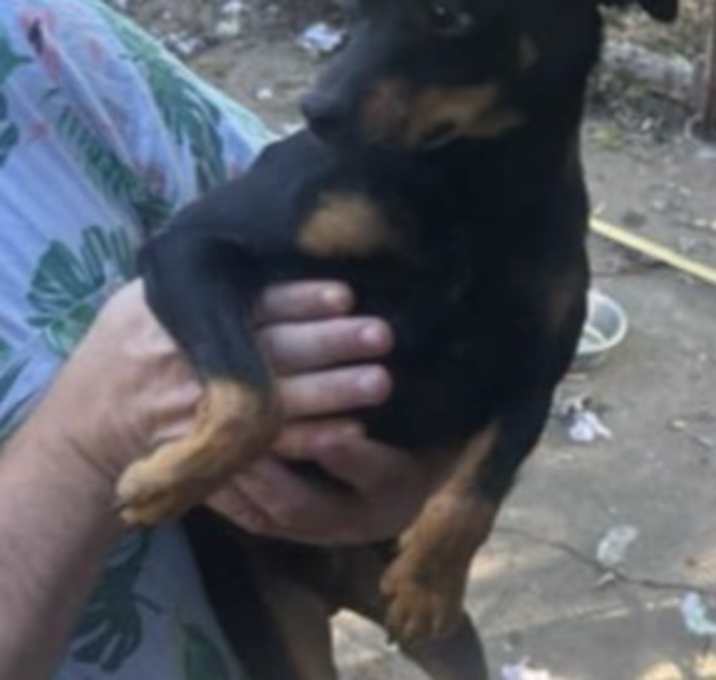 Photo of Waylon