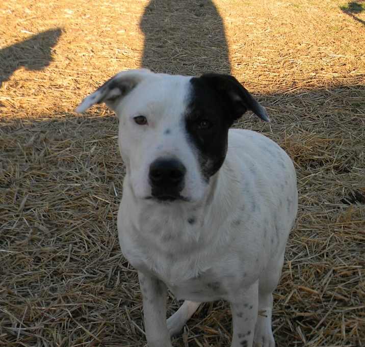 Photo of Raylee