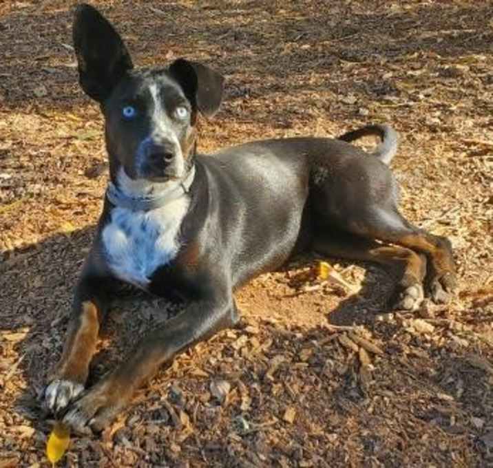 Photo of Ramona