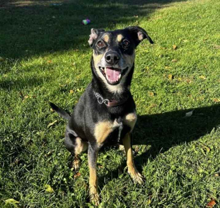 Photo of Bruce