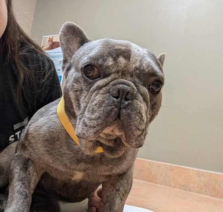 Photo of Mr Big Head