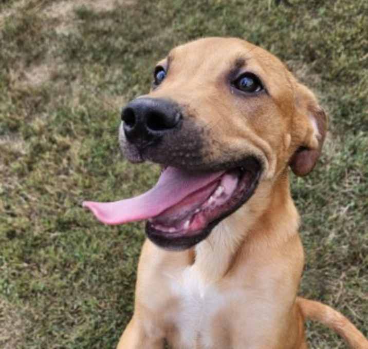 Photo of Auru