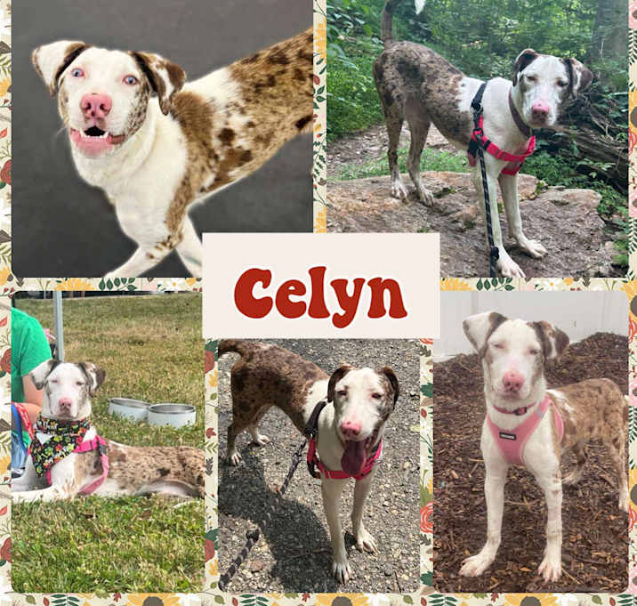 Photo of Celyn