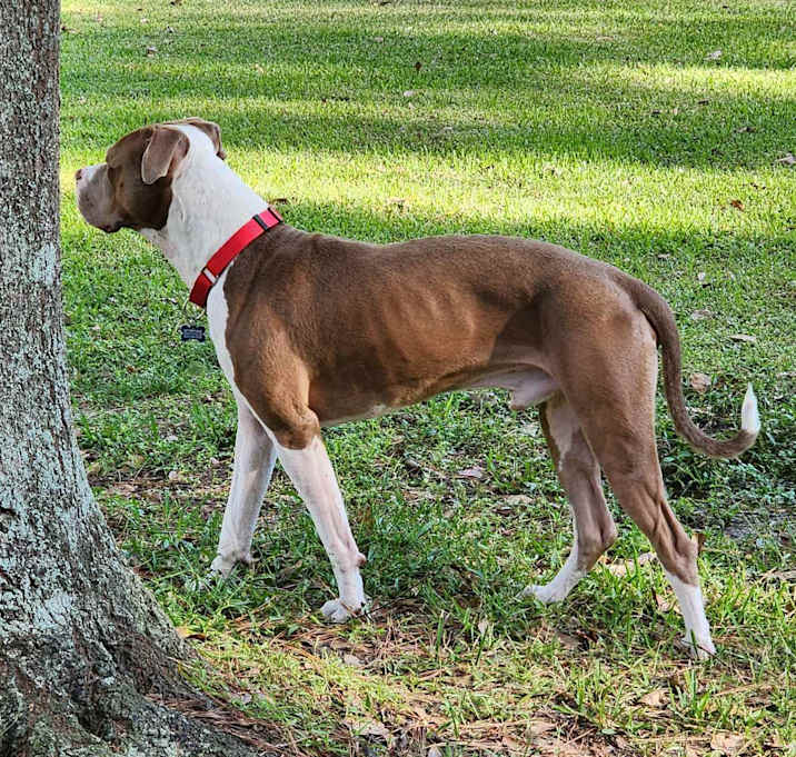 Photo of Gus