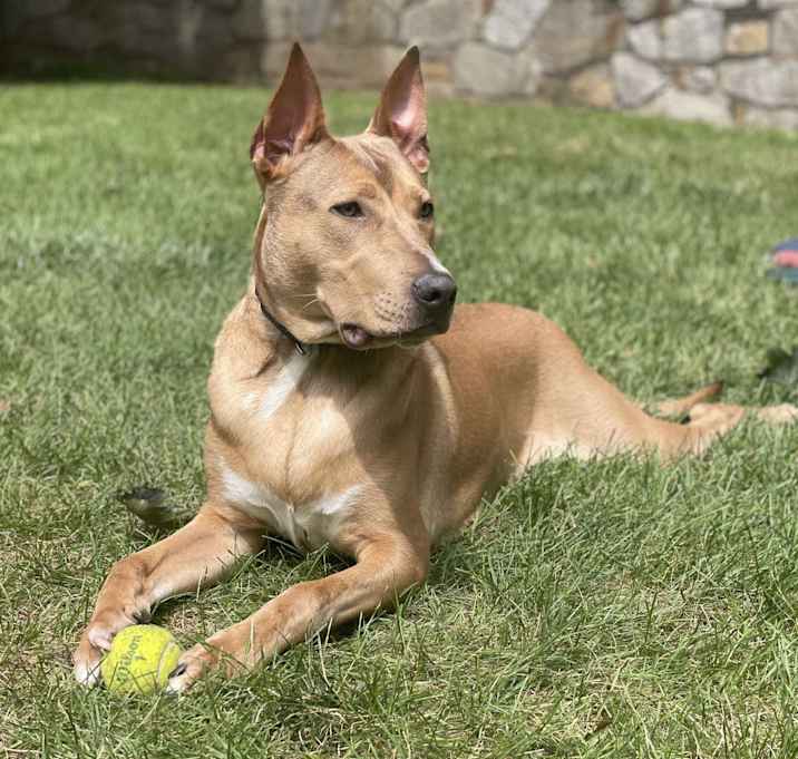 Photo of Kobe fka Elton