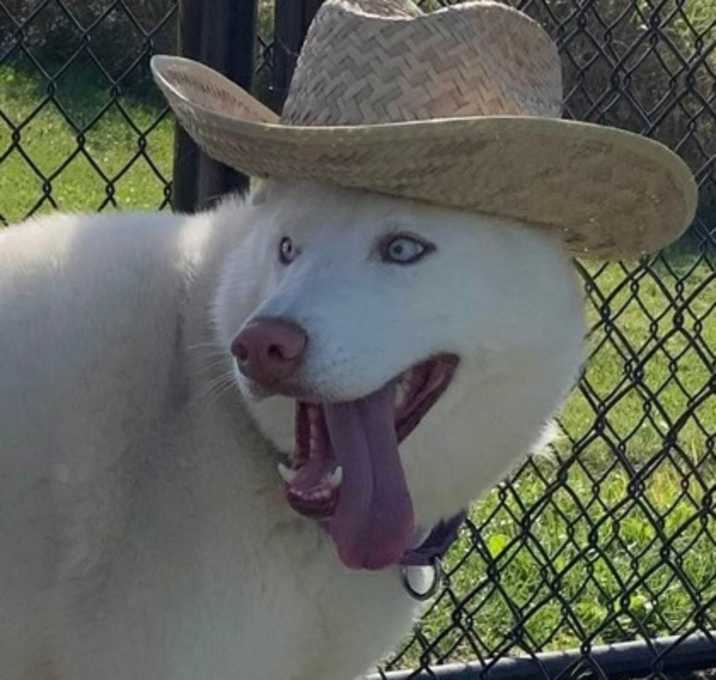 Photo of Star goes home with Blue