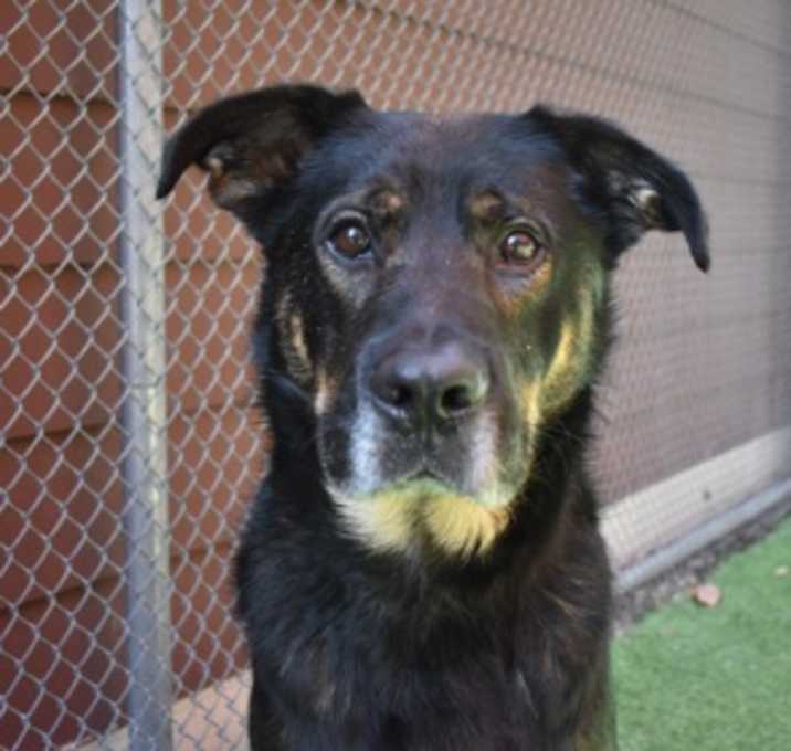 Photo of Duke