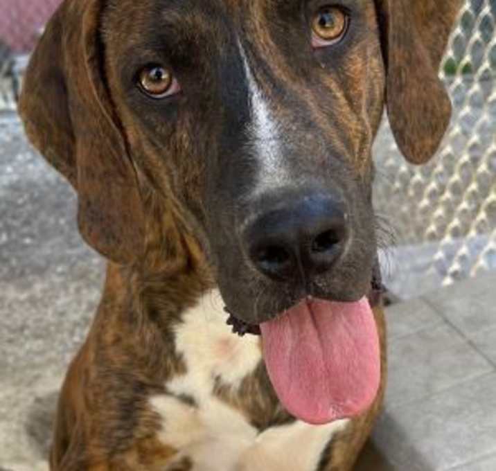 Photo of Morgan
