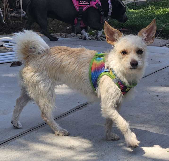 Photo of Addie