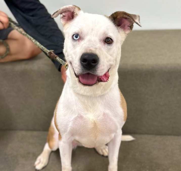 Photo of Luna girl Contact Sylva