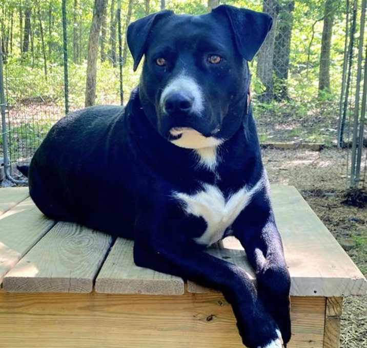 Photo of HUNTER