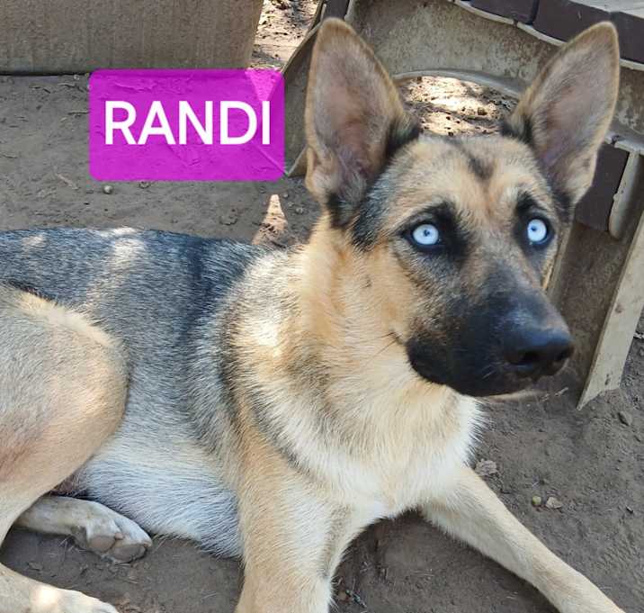 Photo of RANDI