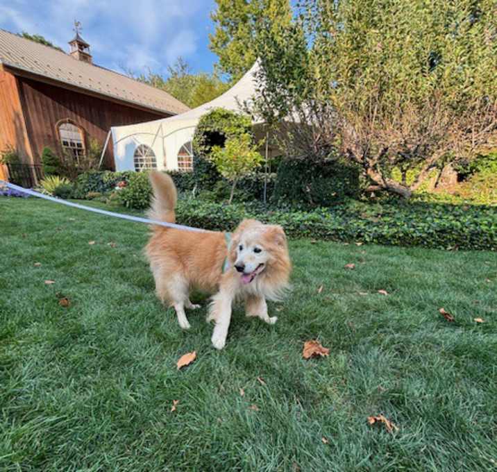 Photo of Riley