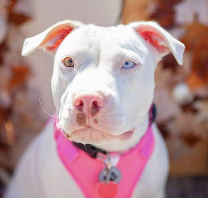 Photo of Marlee