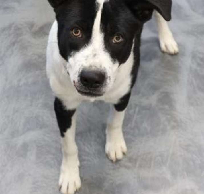 Photo of Zeus