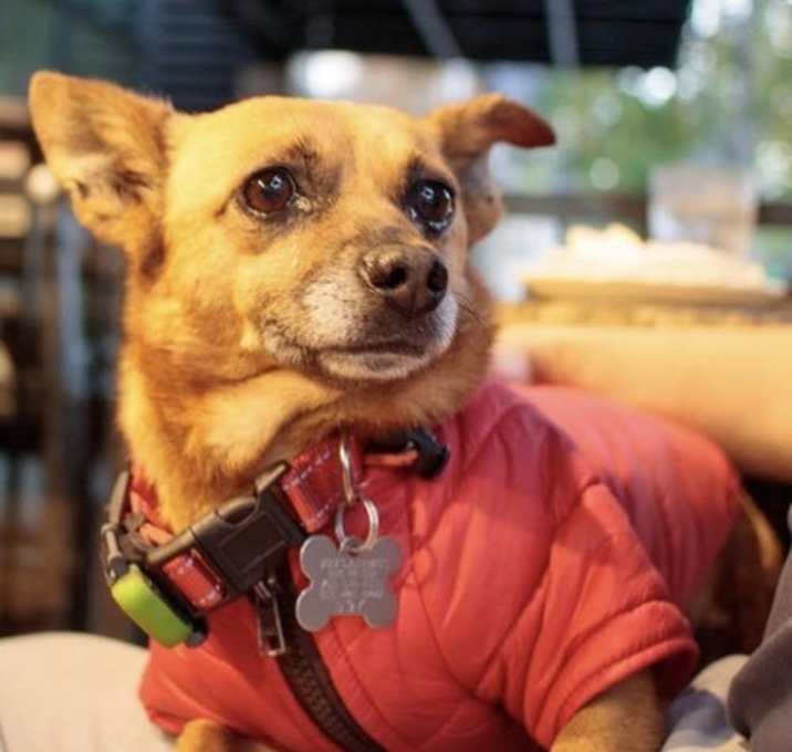 Photo of Jasper
