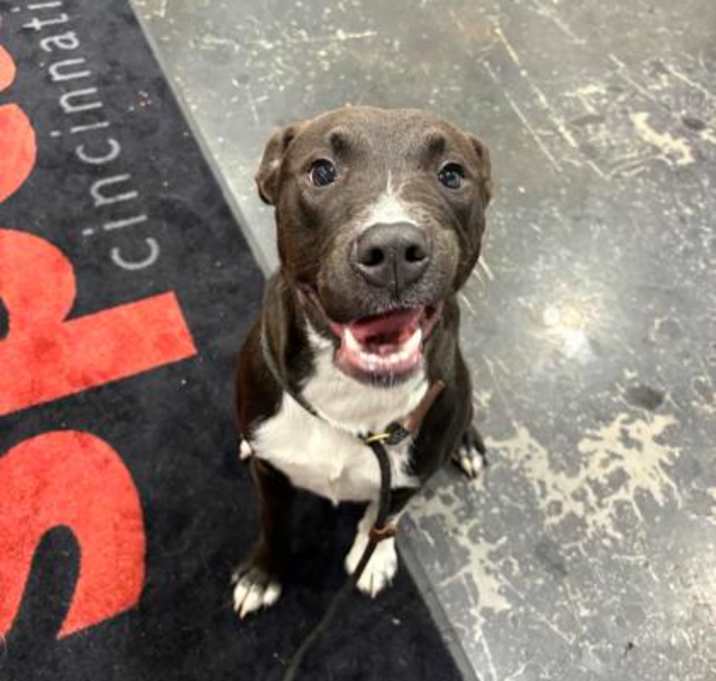Photo of Thor