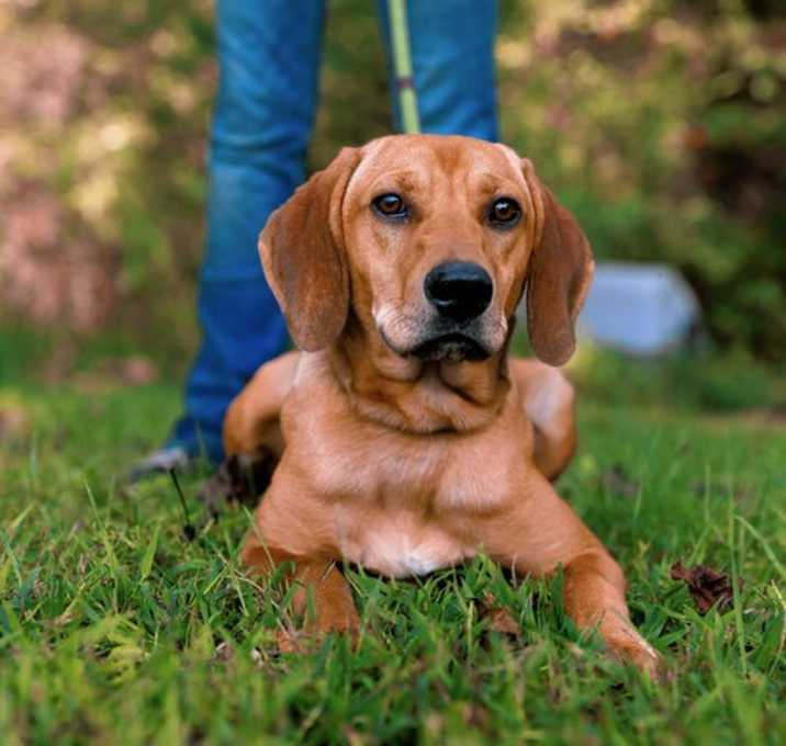 Photo of Waylon