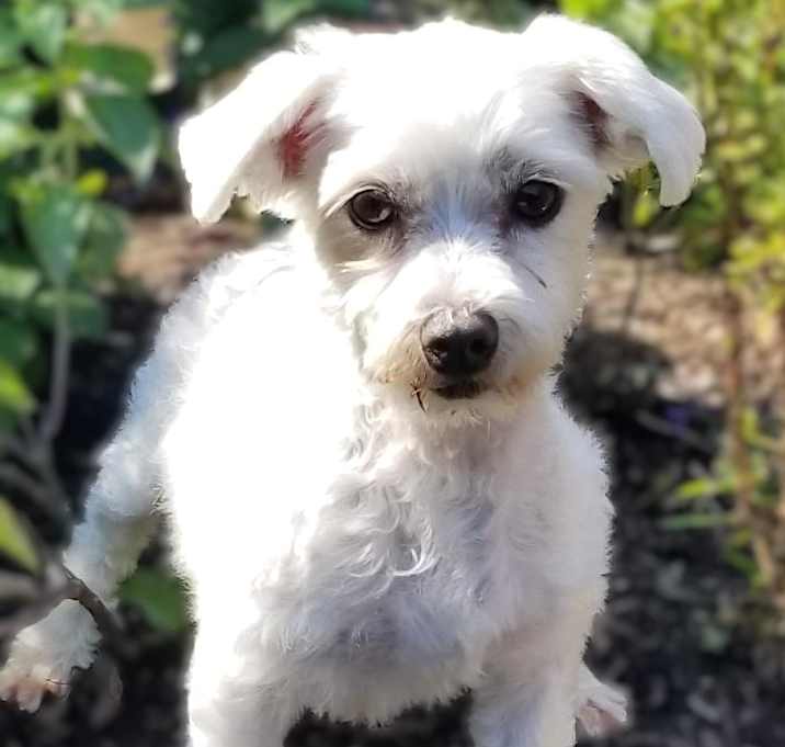 Photo of Jenny