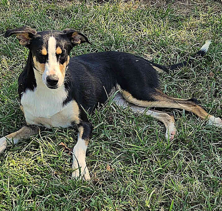 Photo of Nadia