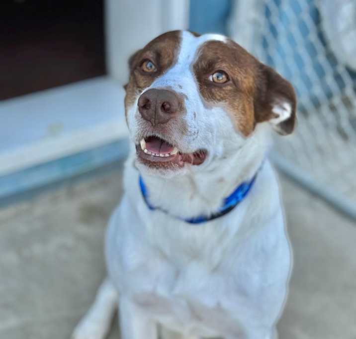 Photo of Harley