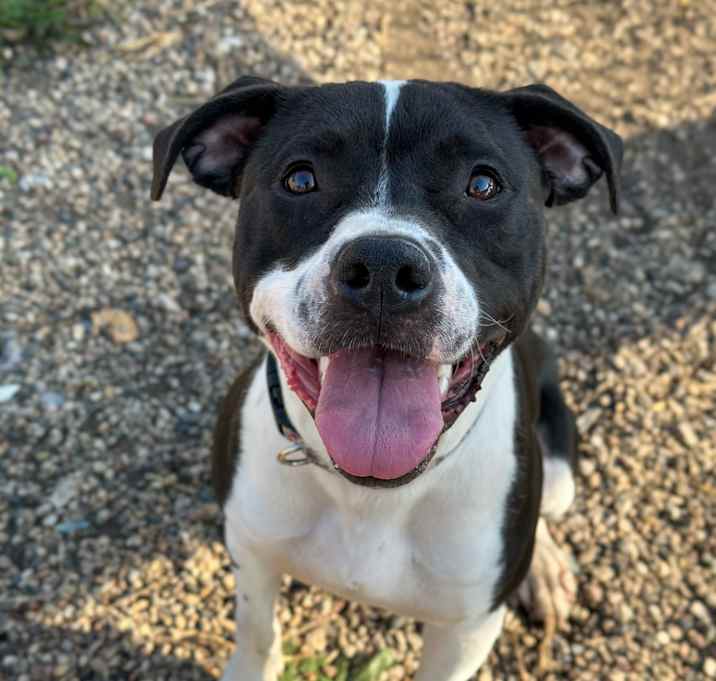 Photo of Winnie