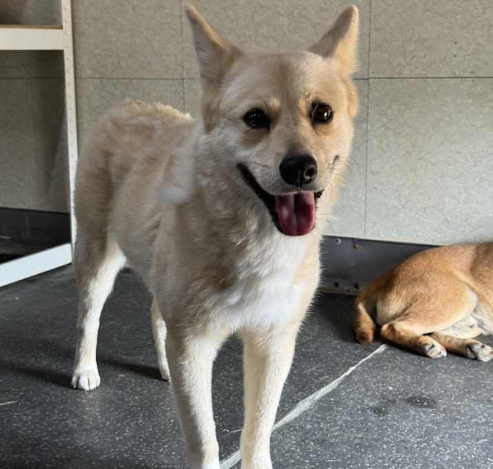 Photo of Gowoon