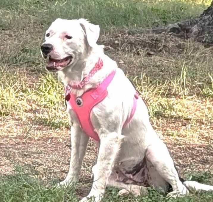 Photo of SUGAR