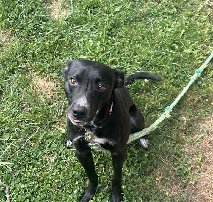 Photo of Storm